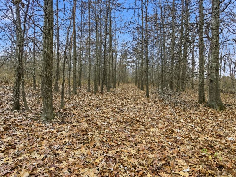 5433 Hayes Road , Groveport, OH 43125 Photo 6