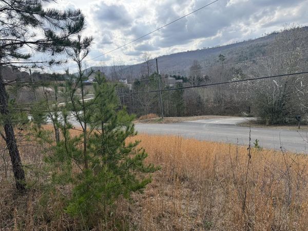 10 Tanglewood Trail, Trenton, GA 30752