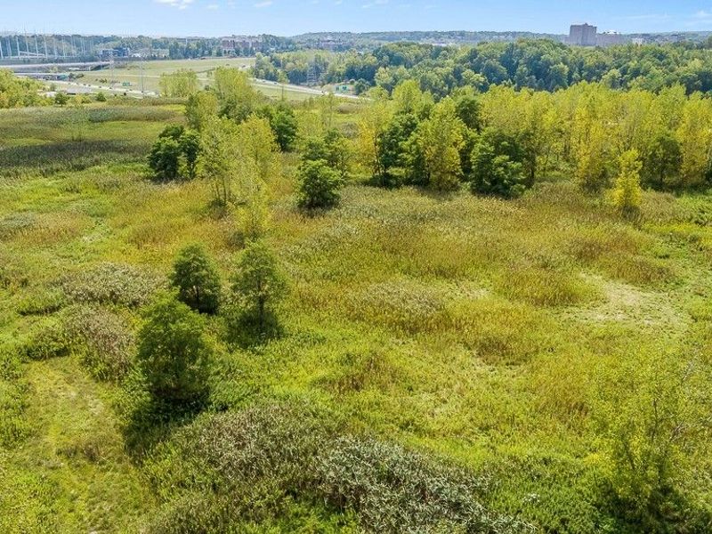 1329 E Schaaf Road, Brooklyn Heights, OH 44131 Photo 14