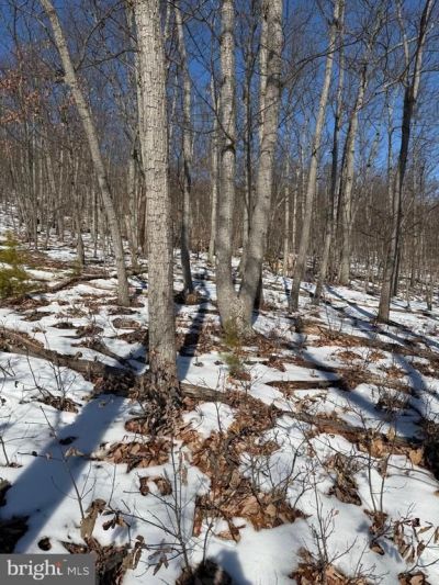 1706 Mercer Road, Haymarket, VA 20169 Main Photo