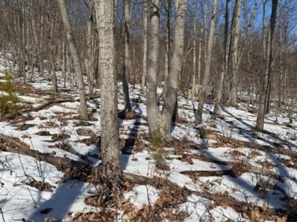 1706 MERCER ROAD, HAYMARKET, VA 20169