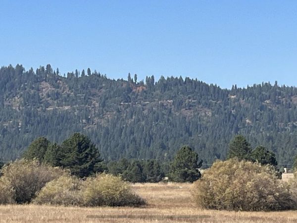 100 Herrick Lane, Cascade, ID 83611