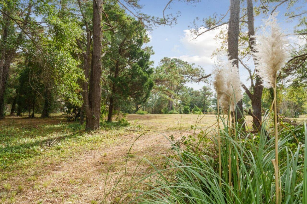 4455 Betsy Kerrison Parkway Photo 15