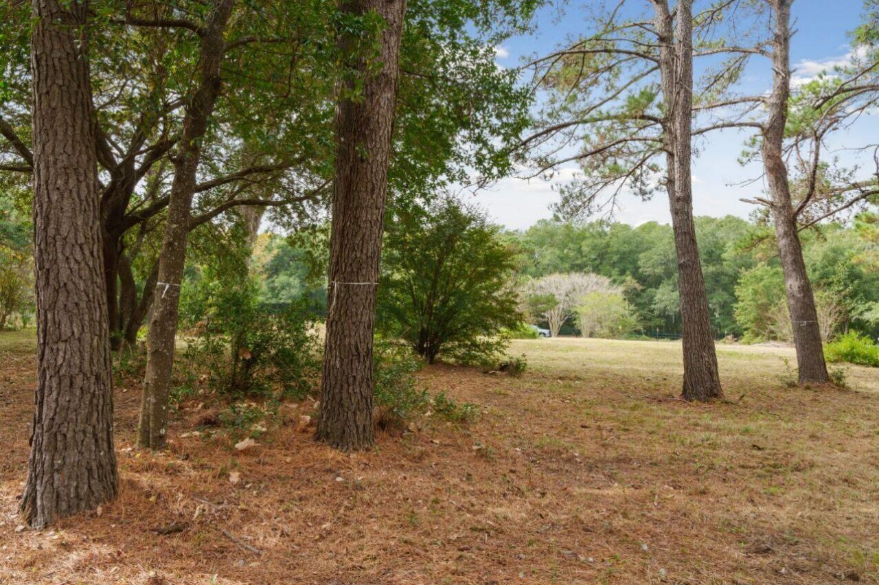 4455 Betsy Kerrison Parkway Photo 17