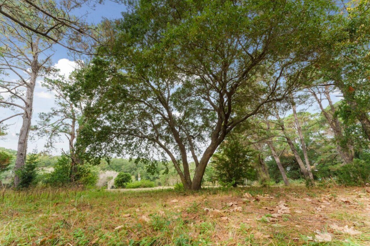 4455 Betsy Kerrison Parkway Photo 20