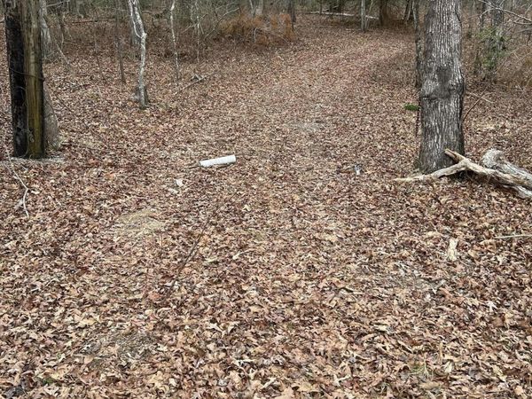 0 Joe Groves Road, Pikeville, TN 37367