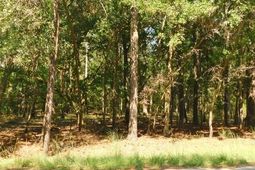 8662 Palmetto Road photo 4