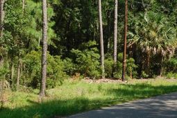 8662 Palmetto Road photo 4