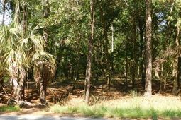 8662 Palmetto Road photo 4