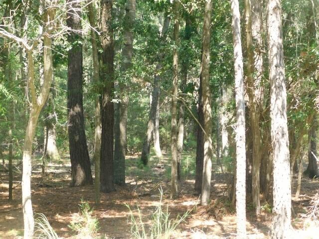 8662 Palmetto Road Photo 5