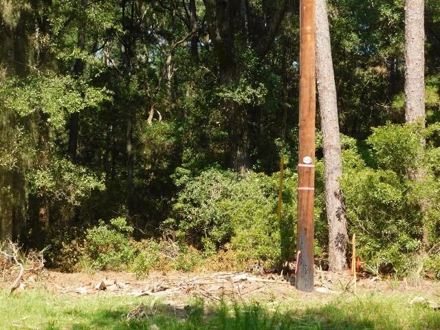 8662 Palmetto Road Photo 6