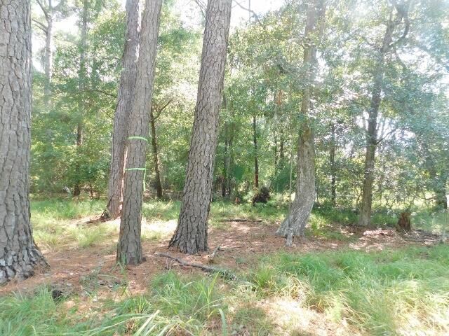 8662 Palmetto Road Photo 7