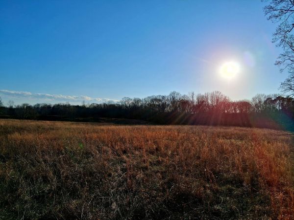 0 Burr Rd , Springfield, TN 37172