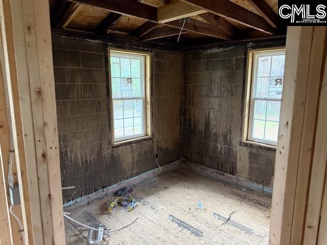 424 Jamison Avenue  Photo 12