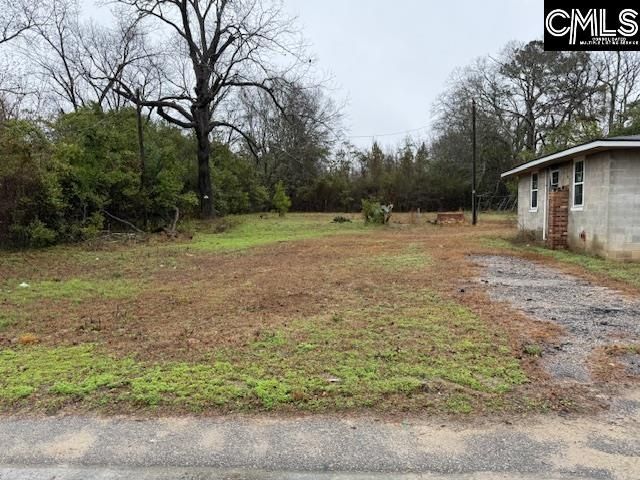 424 Jamison Avenue  Photo 4