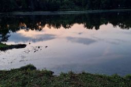 405 Magnolia Tree Road photo 4