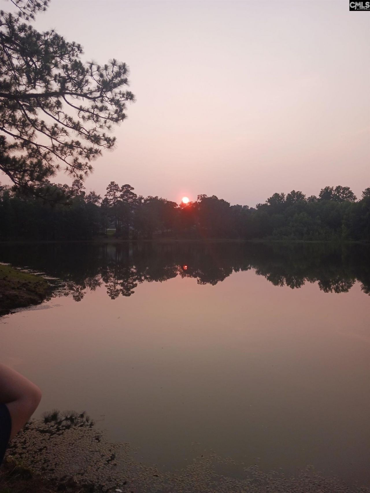 405 Magnolia Tree Road Photo 4