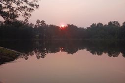 405 Magnolia Tree Road photo 4