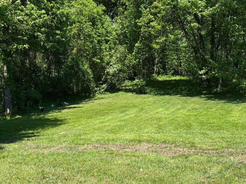 7020 Sportsman Club Road NW, Johnstown, OH 43031 Photo 47