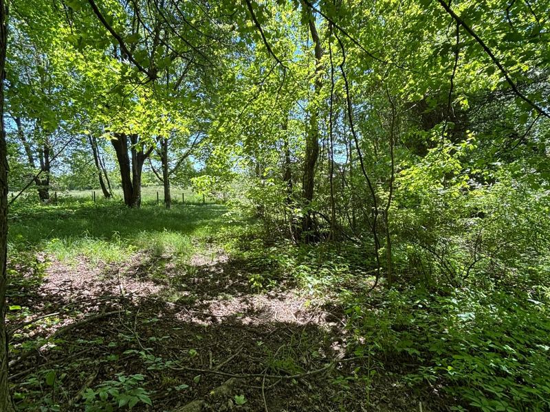 7020 Sportsman Club Road NW, Johnstown, OH 43031 Photo 5