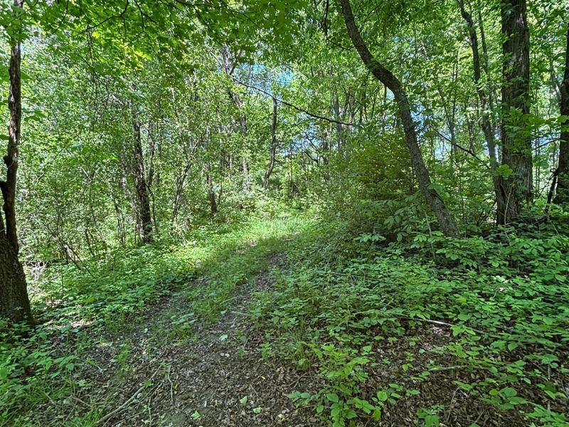 7020 Sportsman Club Road NW, Johnstown, OH 43031 Photo 56