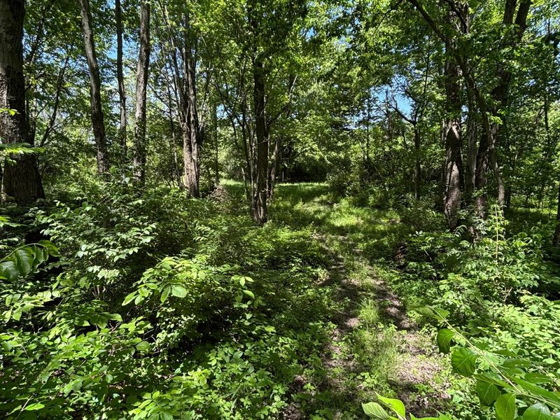 7020 Sportsman Club Road NW, Johnstown, OH 43031 Photo 57