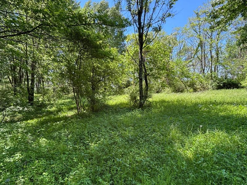 7020 Sportsman Club Road NW, Johnstown, OH 43031 Photo 61