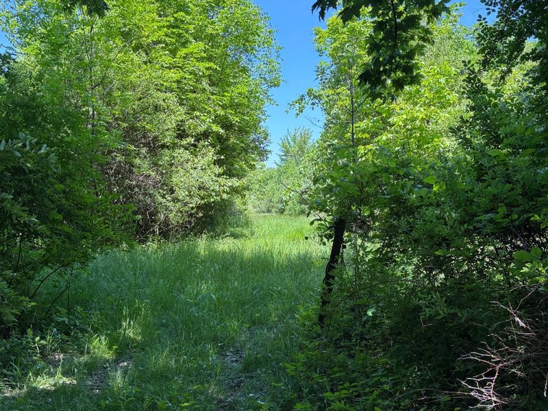 7020 Sportsman Club Road NW, Johnstown, OH 43031 Photo 62