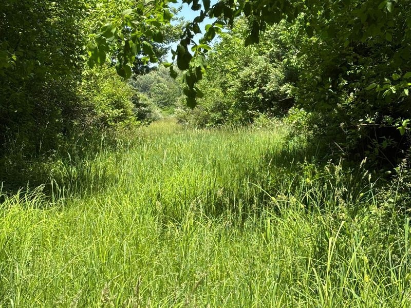 7020 Sportsman Club Road NW, Johnstown, OH 43031 Photo 64
