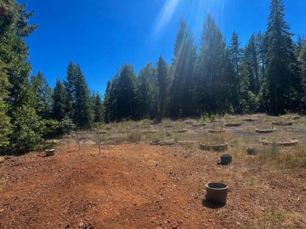14666 Woolford Mill Rd, Nevada City, CA 95959