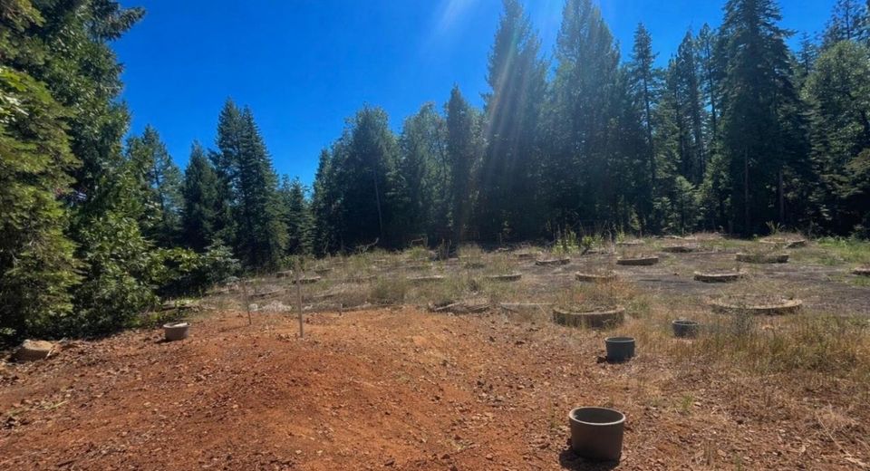 14666 Woolford Mill Rd, Nevada City, CA 95959 Photo