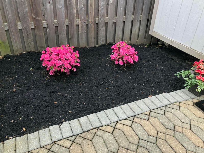 524 Woodingham Place, Unit 3B, Columbus, OH 43213 Photo 42