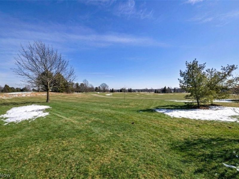 6245 Highland Green Drive, Medina, OH 44256 Photo 46