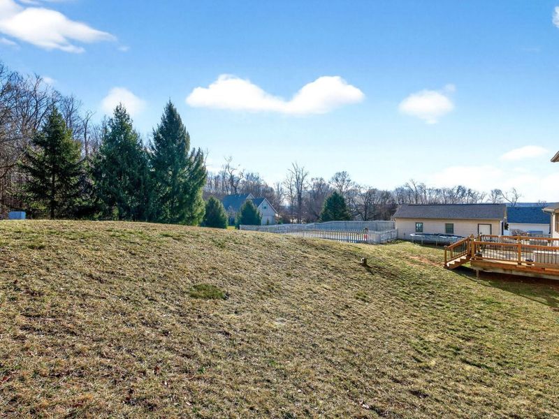 335 Willow Road, Springfield, OH 45502 Photo 59