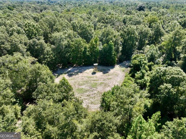 0 Abbeville Highway, Pineview, GA 31001