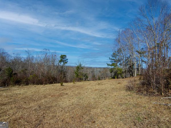 TRACT 6 - 0 CHESTNUT GROVE Road, Shiloh, GA 31826