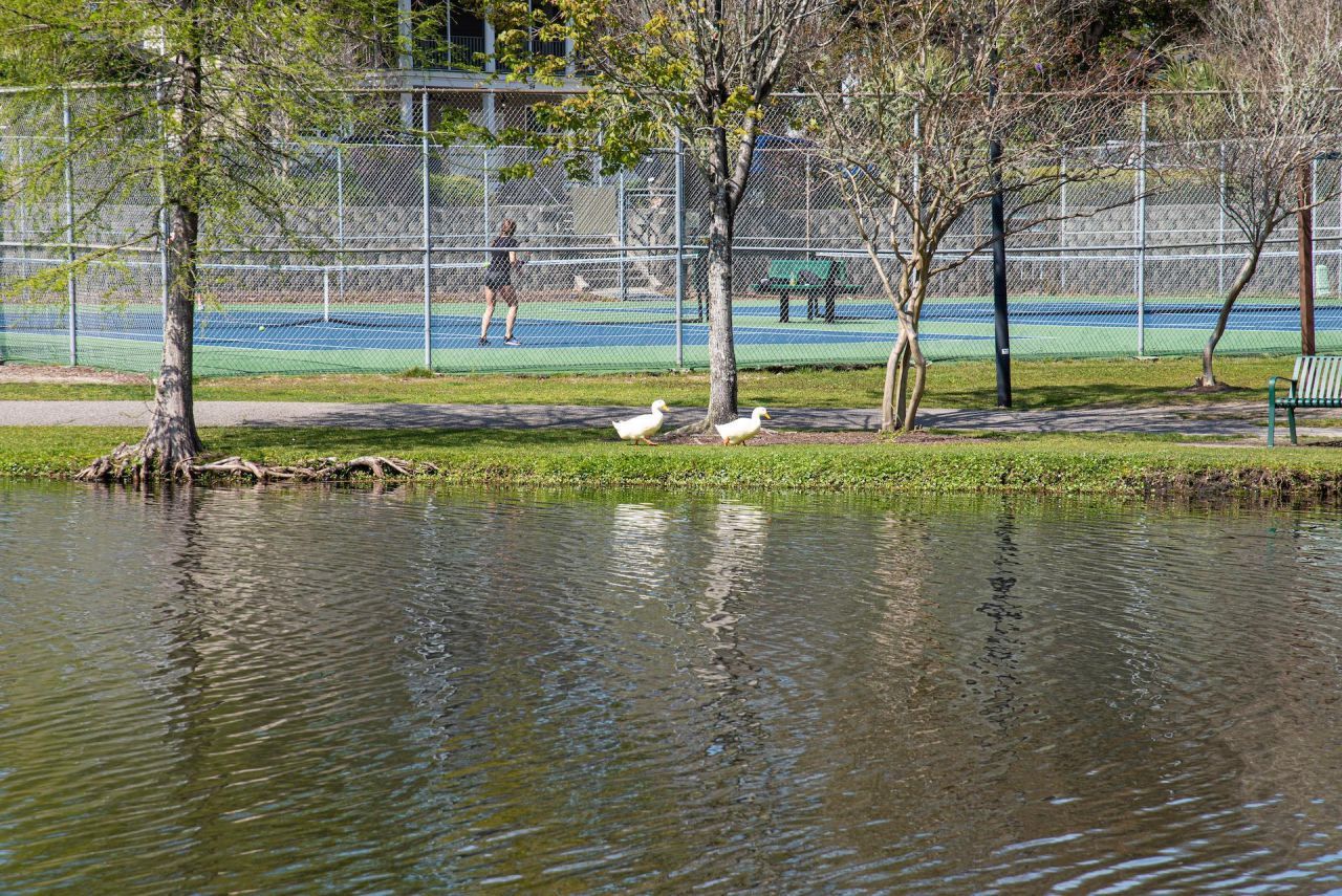 1919 Spring St.  Photo 51