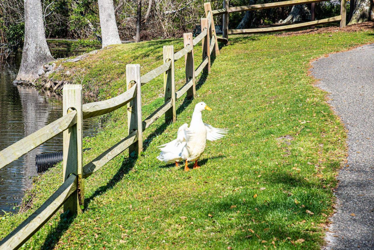 1919 Spring St.  Photo 53