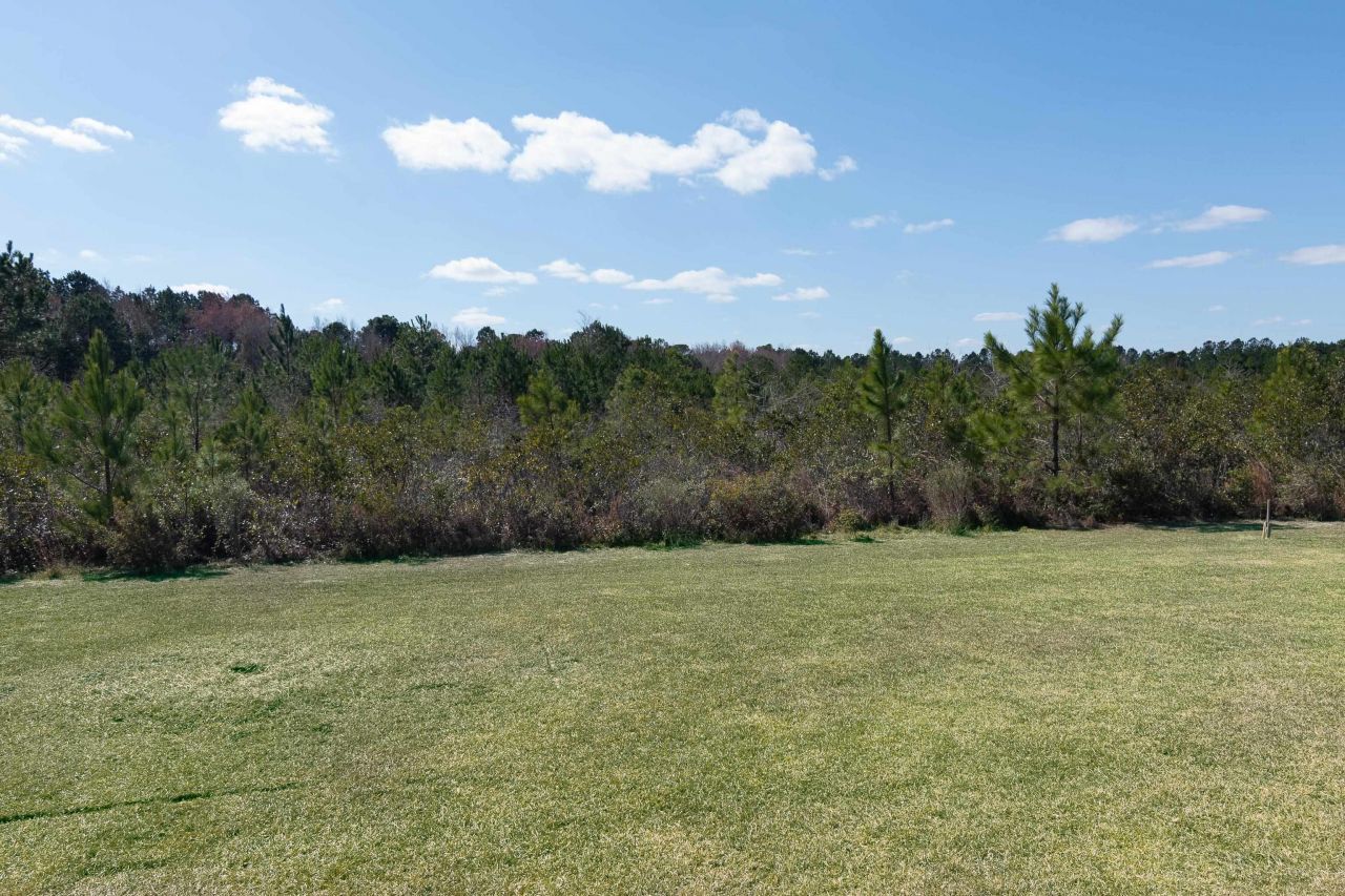 9187 Fort Hill Way Photo 54