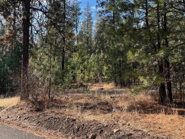 Lot 2 Wapiti Bobwhite Ln, Davenport, WA 99122