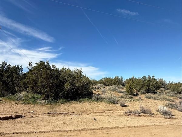 0 Farnese Ave X15, Pearblossom, CA 93553