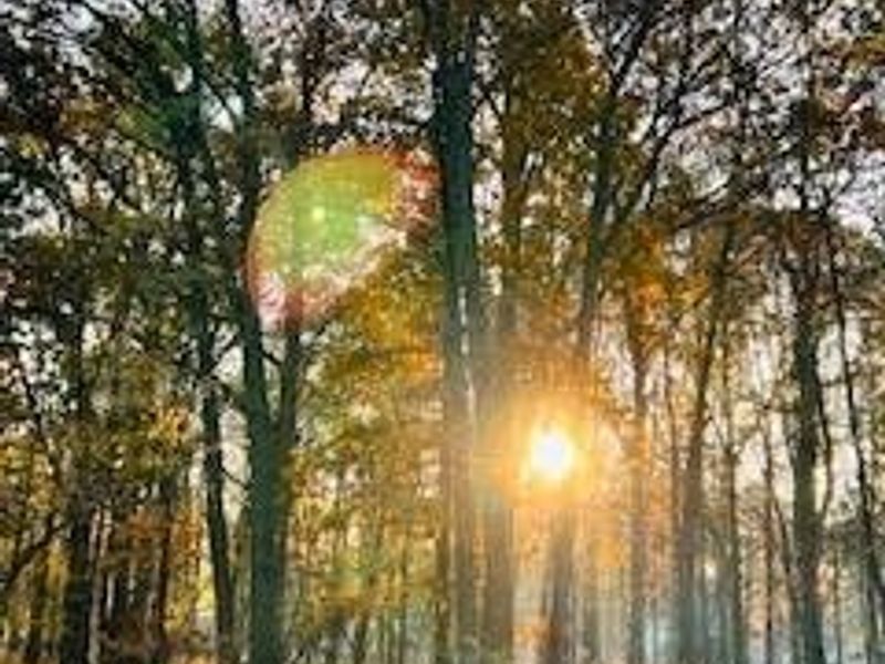 179 Herrmann Drive, Avon Lake, OH 44012 Photo 21