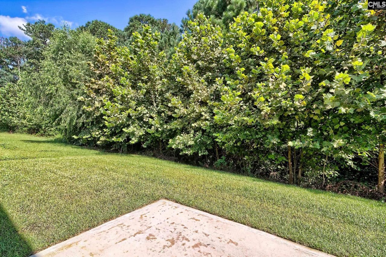 827 Daniel Lake Court  Photo 32