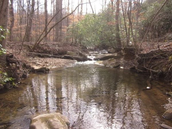 0 Sparks Way, Talking Rock, GA 30175