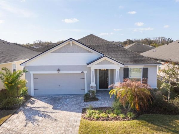 10729 PLANER PICKET DRIVE , RIVERVIEW, FL 33569