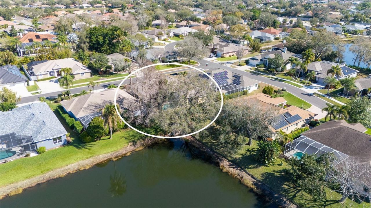 5566 Magnolia Tree Terrace, Sarasota, FL 34233 Photo