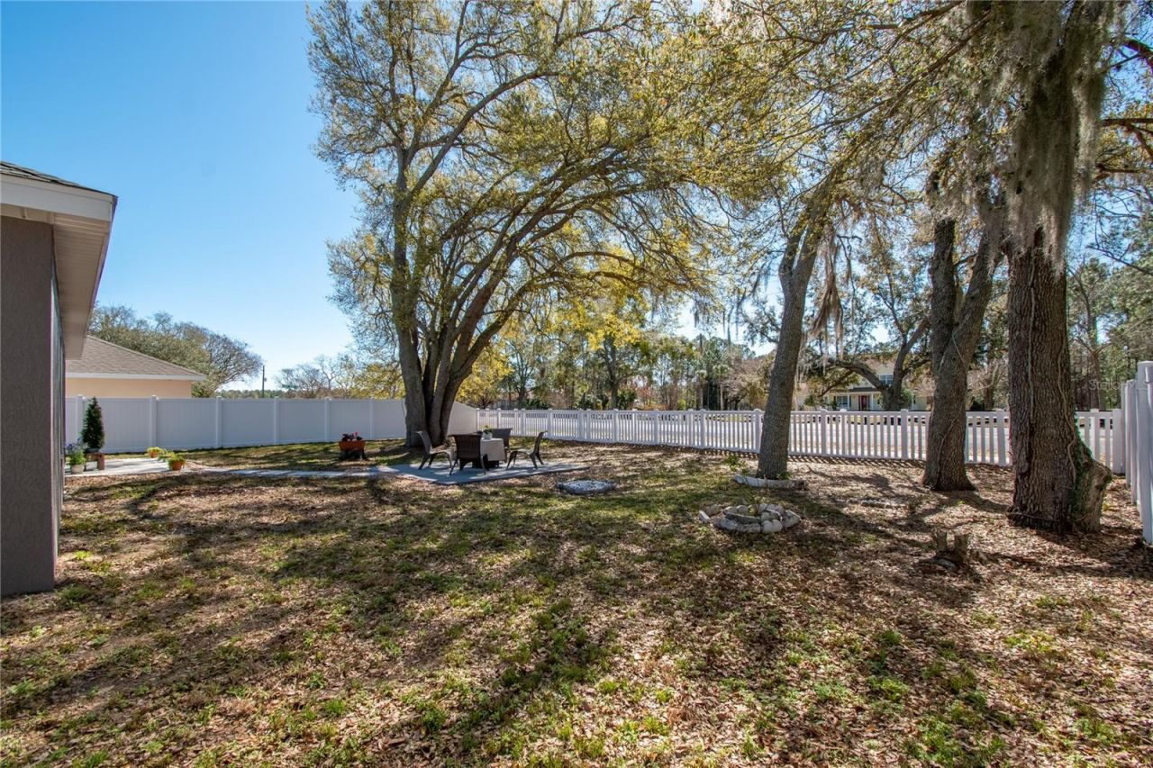 2309 Angel Fish Loop, Leesburg, FL 34748 Photo