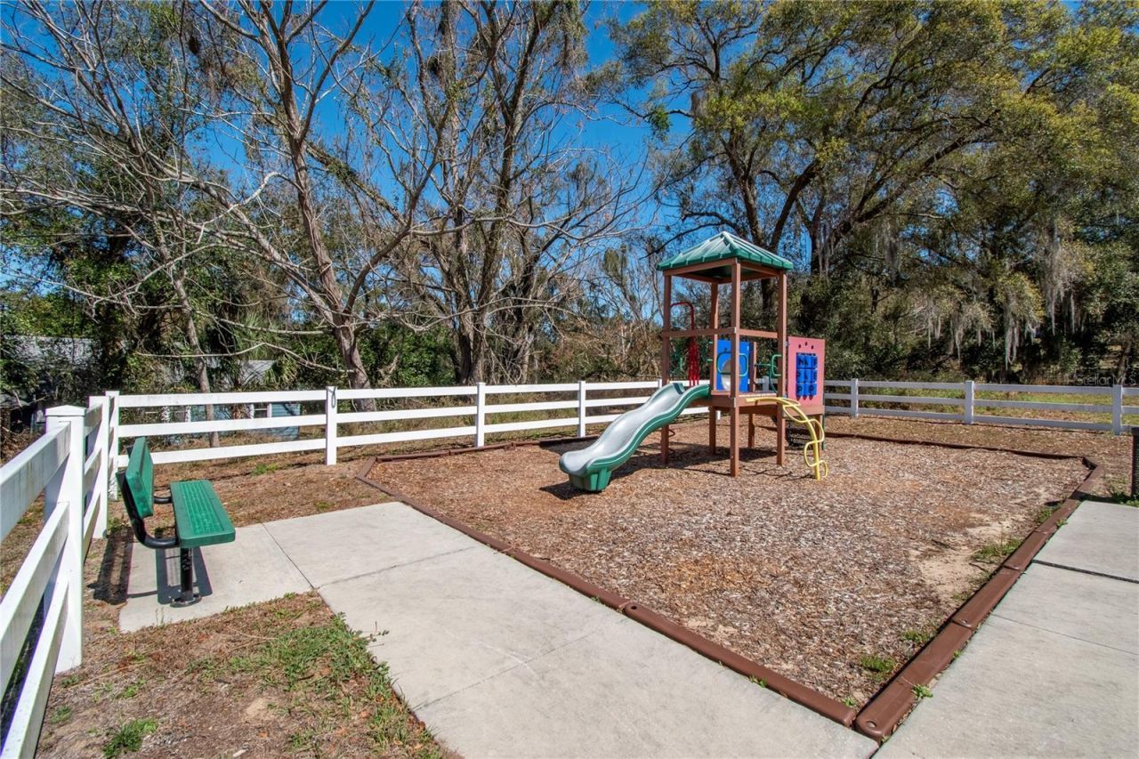 2309 Angel Fish Loop, Leesburg, FL 34748 Photo
