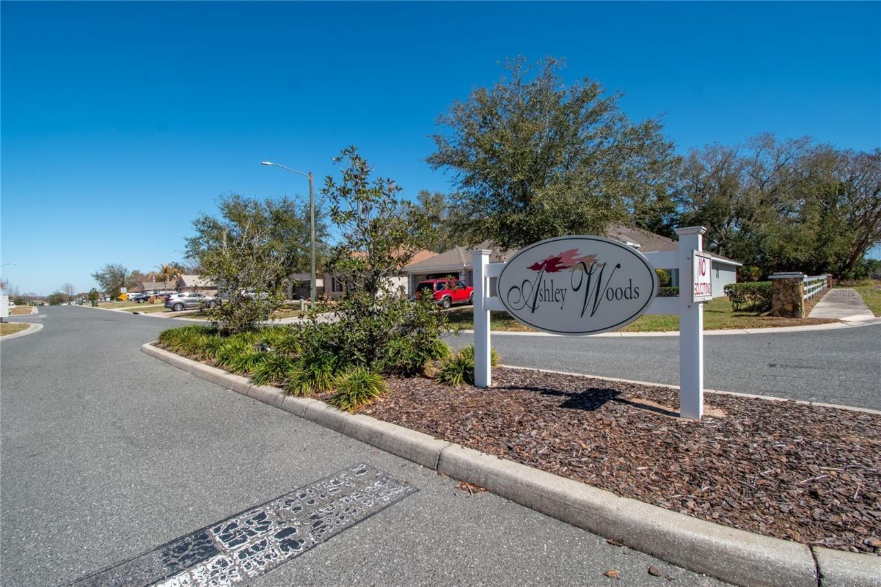 2309 Angel Fish Loop, Leesburg, FL 34748 Photo
