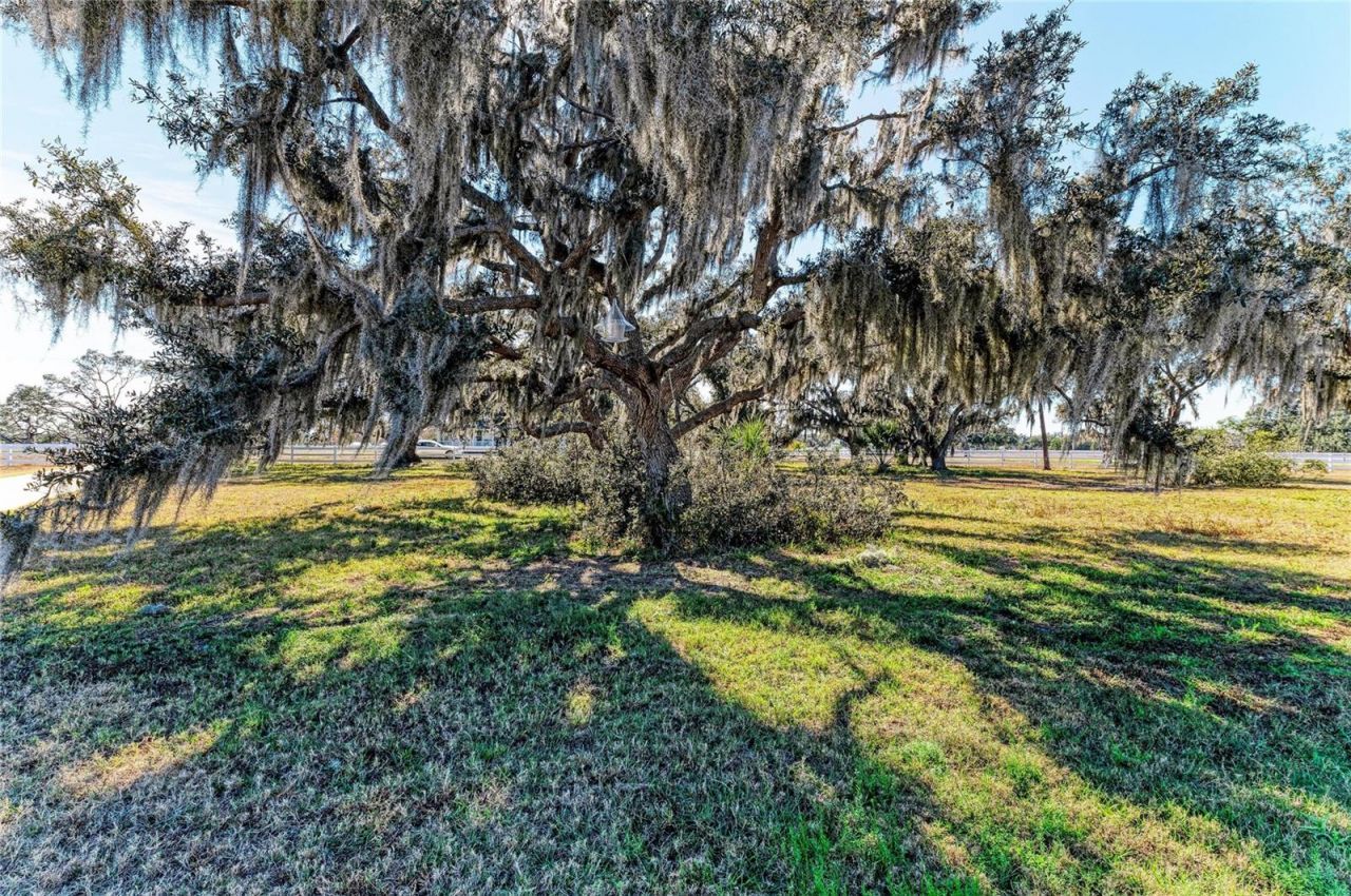 16315 Hidden Horse Way, Myakka City, FL 34251 Photo